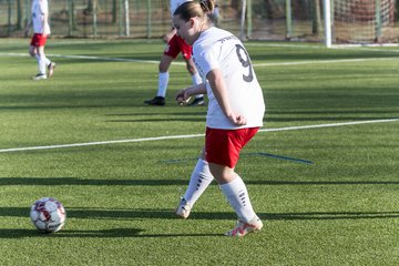 Bild 195 - wBJ SV Wahlstedt - SV Henstedt Ulzburg : Ergebnis: 0:1